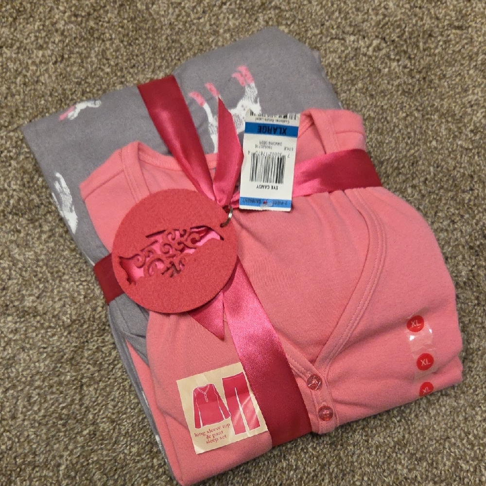 Charter Club Pink and Gray Pajama Set In Size XL